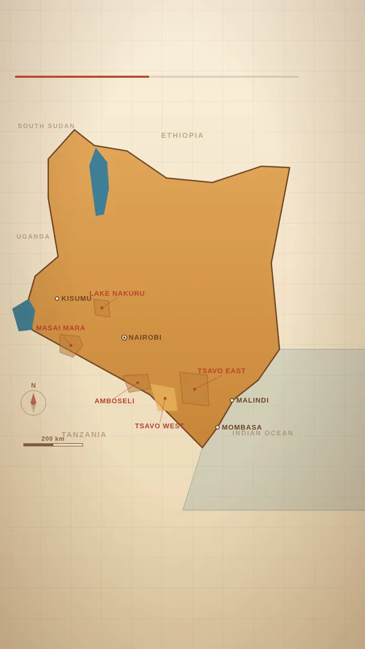 Kenya Big Five